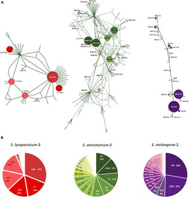 5S Ribosomal DNA of Genus Solanum: Molecular Organization, Evolution, and Taxonomy